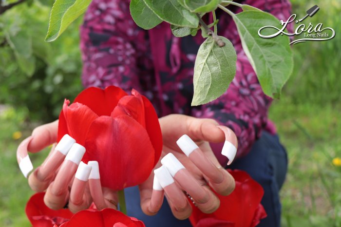 🌼 Spring photo session NAILS FRENCH