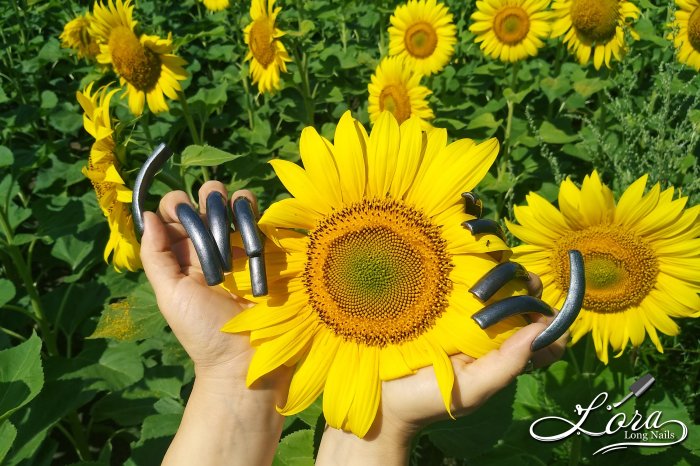 🌻 Sunflowers 🚗 Car and LONG NAILS