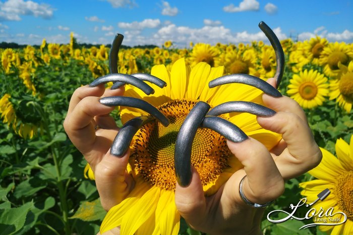 🌻 Sunflowers 🚗 Car and LONG NAILS