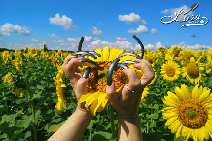 🌻 Sunflowers 🚗 Car and LONG NAILS