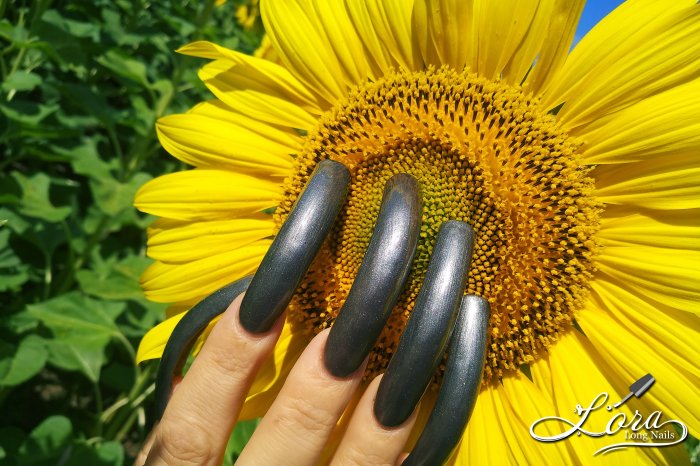 🌻 Sunflowers 🚗 Car and LONG NAILS