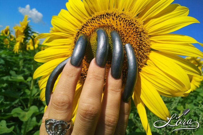 🌻 Sunflowers 🚗 Car and LONG NAILS