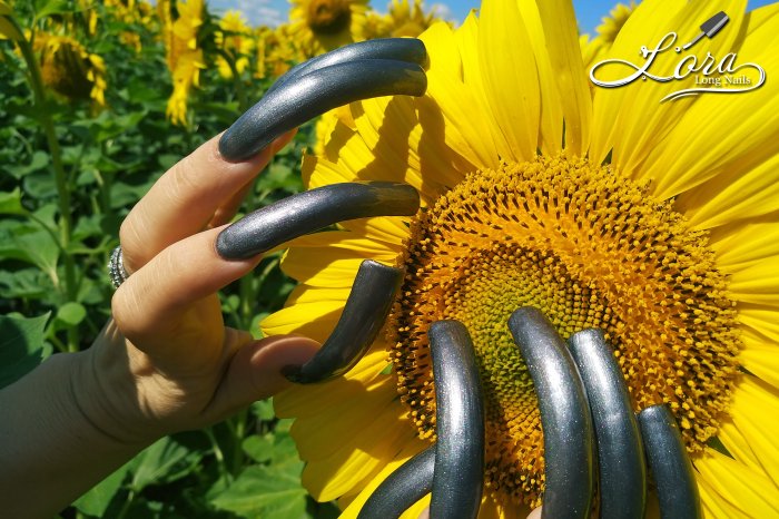 🌻 Sunflowers 🚗 Car and LONG NAILS