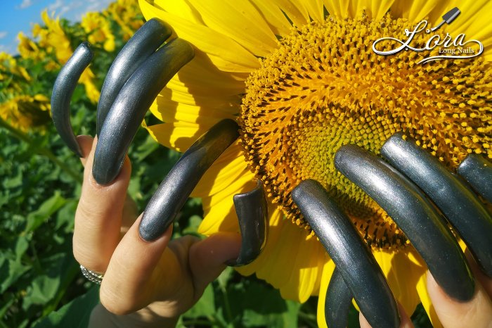 🌻 Sunflowers 🚗 Car and LONG NAILS