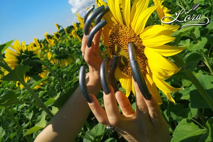 🌻 Sunflowers 🚗 Car and LONG NAILS