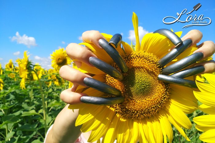 🌻 Sunflowers 🚗 Car and LONG NAILS