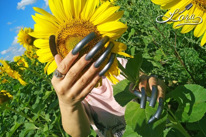 🌻 Sunflowers 🚗 Car and LONG NAILS