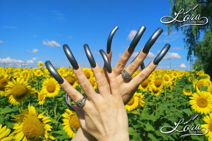 🌻 Sunflowers 🚗 Car and LONG NAILS