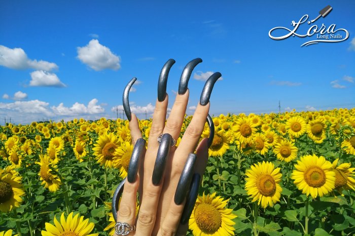 🌻 Sunflowers 🚗 Car and LONG NAILS