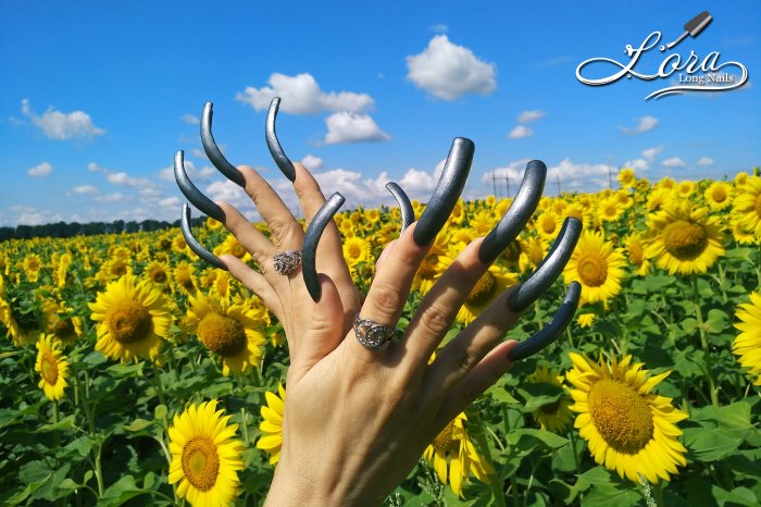 🌻 Sunflowers 🚗 Car and LONG NAILS