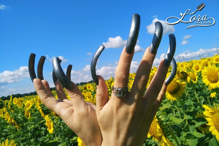 🌻 Sunflowers 🚗 Car and LONG NAILS