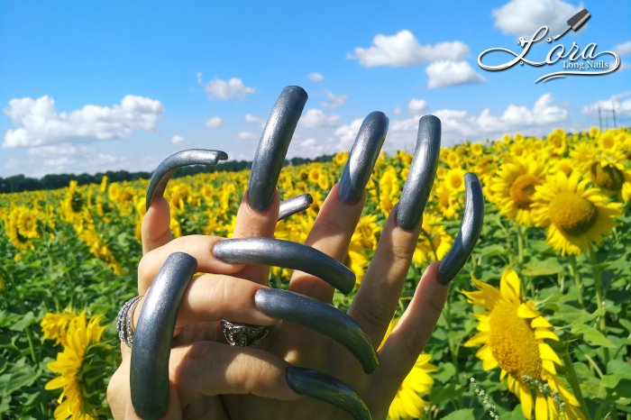 🌻 Sunflowers 🚗 Car and LONG NAILS