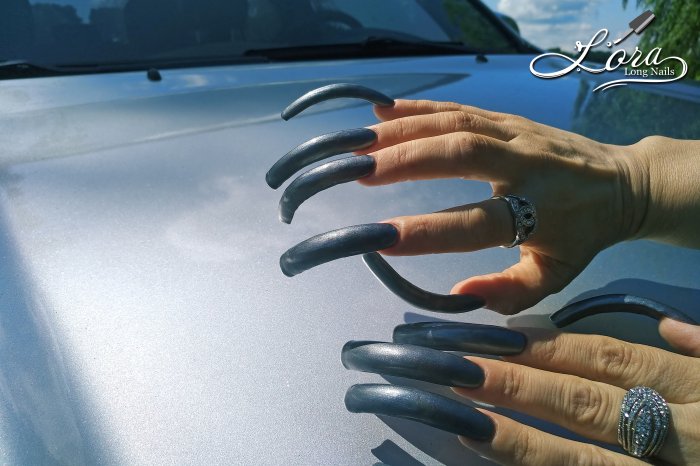 🌻 Sunflowers 🚗 Car and LONG NAILS